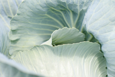 Similar image 776292