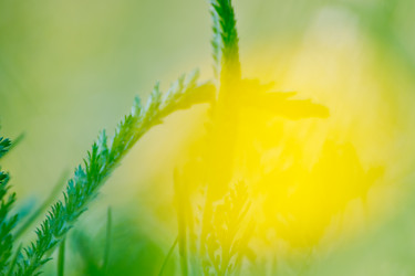 Similar image 776318