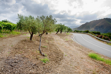 Similar image 776344