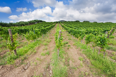 Similar image 776349