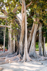 Similar image 776406