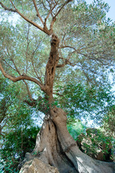 Similar image 776409