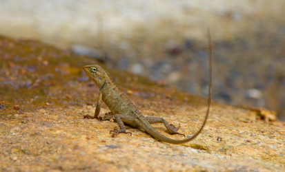 Similar image 776420