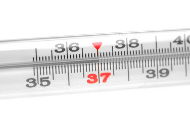 Similar image 776442