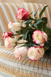 Similar image 776469