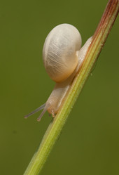 Similar image 776478