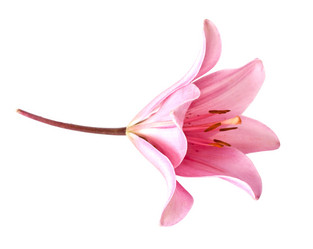 Similar image 776480