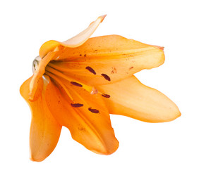 Similar image 776481