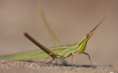 Similar image 776486