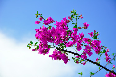 Similar image 776492