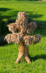 Similar image 776500