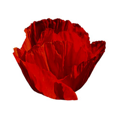 Similar image 776501