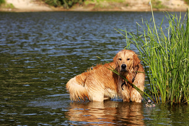 Similar image 776507