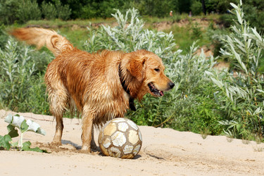 Similar image 776542