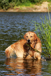 Similar image 776546