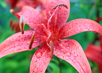 Similar image 776668