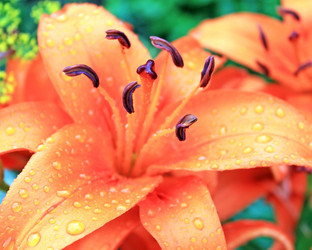 Similar image 776669