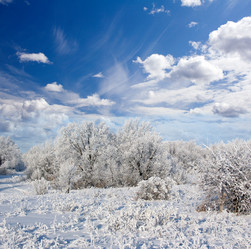 Similar image 776821