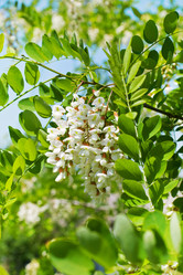 Similar image 776824