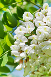 Similar image 776826