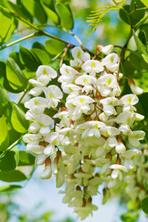 Similar image 776827