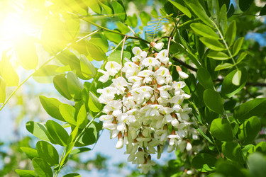 Similar image 776828