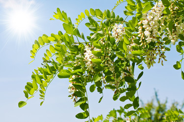 Similar image 776829