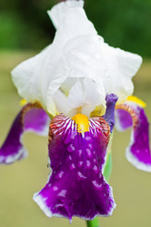 Similar image 776837