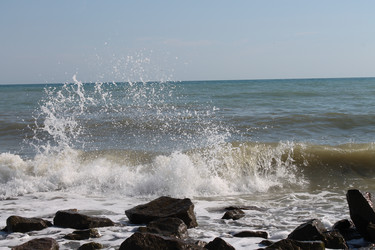 Similar image 776844