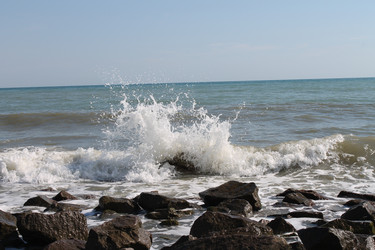 Similar image 776845