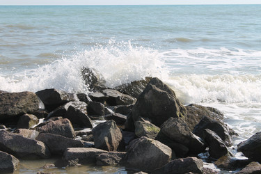 Similar image 776846