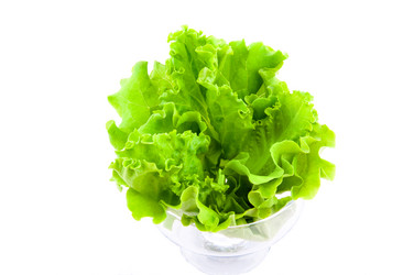 Similar image 776869