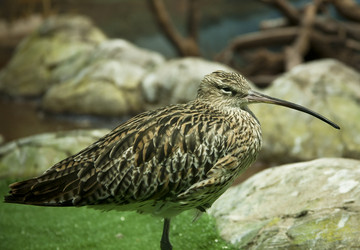 Similar image 776882