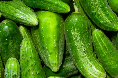 Similar image 776888