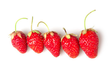 Similar image 776897