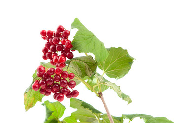 Similar image 776921