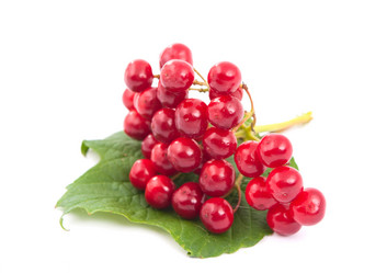 Similar image 776923