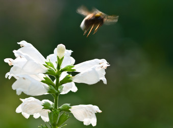 Similar image 776925