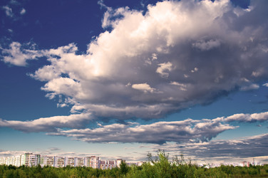 Similar image 776932