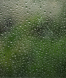 Similar image 776938