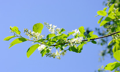 Similar image 776967