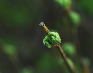 Similar image 776976