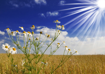 Similar image 776980