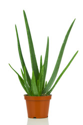 Similar image 776982