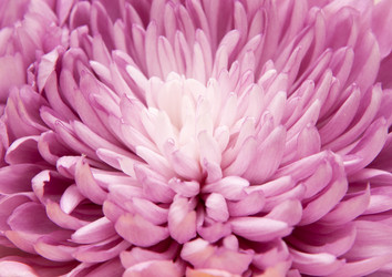 Similar image 777004