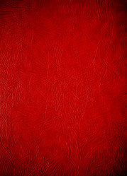 Similar image 777007