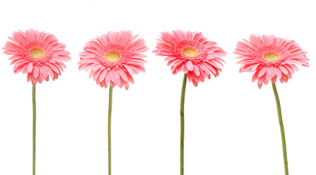 Similar image 777009