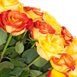 Similar image 777013