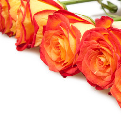 Similar image 777016