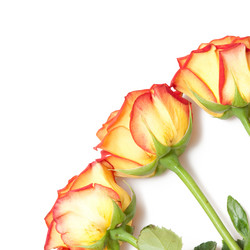 Similar image 777018